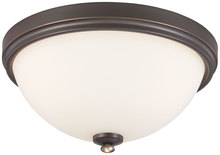  3288-589 - Shadowglen - 3 Light Flush