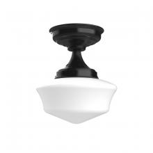  FMA021-41 - Schoolhouse 12" flush mount