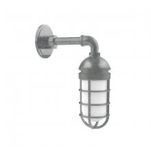 Montclair Light Works GNM050-49 - Vaportite, no shade, single wall mount with clear glass and cast guard, Painted Galvanized