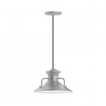  PEB142-49 - Homestead 12" pendant