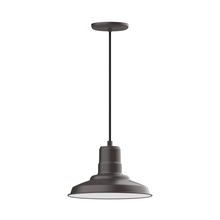 Montclair Light Works PEB182-57 - Warehouse 12" pendant