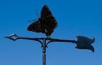 Whitehall 65522 - 30" MONARCH WEATHERVANE ROOFTOP BLACK