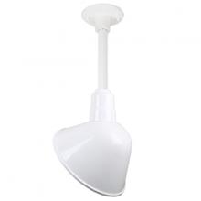  H-QSN18112-SA-93/QSN12ST3-93/QSNHDSMC-93 - 10" Ceiling Stem Light