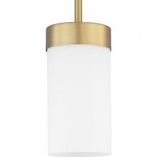  P500151-109 - Elevate Collection One-Light Mini-Pendant