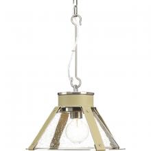  P500195-009 - POINT DUMEÂ® byJeffrey Alan Marks for Progress Lighting Rockdance Collection Brushed Nickel Pendant