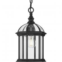  P550122-031 - Dillard Collection One-Light Traditional Textured Black Clear Glass Outdoor Hanging Light