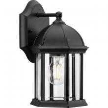  P560321-031 - Dillard Collection One-Light Traditional Textured Black Clear Glass Outdoor Wall Lantern