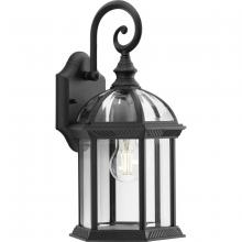  P560322-031 - Dillard Collection One-Light Traditional Textured Black Clear Glass Outdoor Wall Lantern