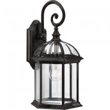  P560323-020 - Dillard Collection One-Light Traditional Antique Bronze Clear Glass Outdoor Wall Lantern