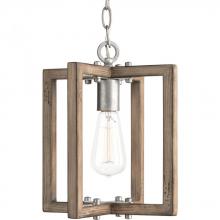  P5317-141 - Turnbury Collection One-Light Galvanized Finish Coastal Mini-Pendant Light