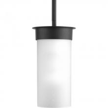  P5513-31 - Hawthorne Collection One-Light Small Hanging Lantern