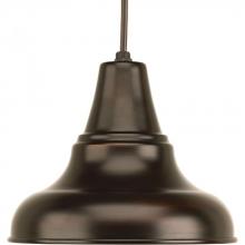  P5535-20 - District Collection One-Light Medium Hanging Lantern