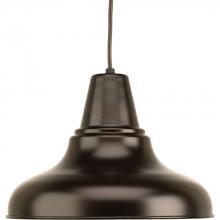  P5551-20 - District Collection One-Light Large Hanging Lantern