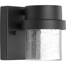  P560073-031-30 - Z-1060 Collection One-Light LED Wall Lantern