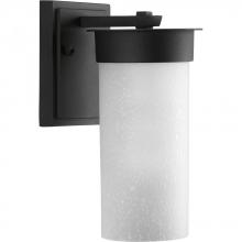  P5624-31 - Hawthorne Collection One-Light Small Wall Lantern