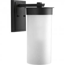  P5665-31 - Hawthorne Collection One-Light Large Wall Lantern