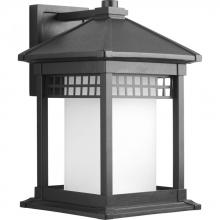  P6002-31 - Merit Collection One-Light Wall Lantern