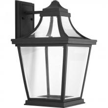  P6058-3130K9 - Endorse Collection One-Light Large Wall Lantern
