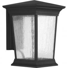  P6069-3130K9 - Arrive Collection One-Light Large Wall Lantern