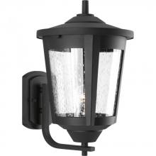  P6075-31 - East Haven Collection One-Light Large Wall Lantern