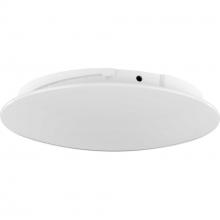  P2668-28 - Ceiling Fan Blank Plate for Trevina II P2555