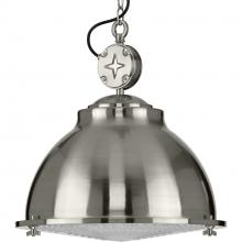  P500212-009 - Medal Collection One-Light Brushed Nickel Clear Patterned Glass Coastal Pendant Light