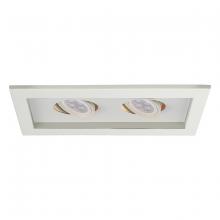  MT-216LED-WT/WT - Low Voltage Multiple Two Light Trim