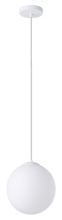 Eglo 206428A - 1L Pendant Light