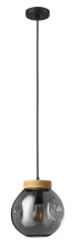 Eglo 206613A - 1L Pendant Light