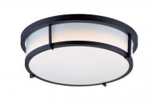  10272WTBK - Rogue E26-Flush Mount