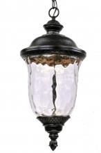  55427WGOB - Carriage House LED-Outdoor Hanging Lantern