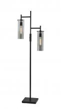  3853-01 - Dalton Floor Lamp