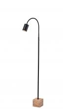  3966-01 - Rutherford LED Floor Lamp