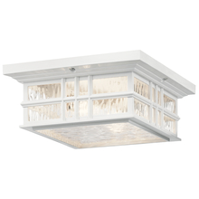  49834WH - Outdoor Ceiling 2Lt