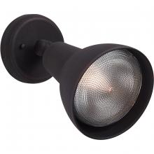 Outdoor Directional Lights