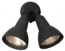  Z402-TB - 2 Light Directional Bullet in Textured Black