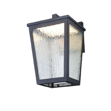  DVP49571BK-RG - Calabasis Sconce