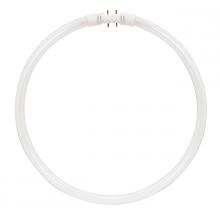  S2956 - 22 Watt; T5; Circline Fluorescent; 3500K Neutral White; 82 CRI; 2GX13 (4-Pin) base