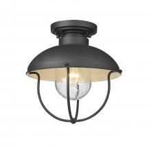  590F-BK - 1 Light Outdoor Flush Mount