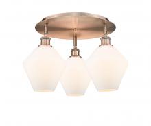  516-3C-AC-G651-8 - Cindyrella - 3 Light - 20 inch - Antique Copper - Flush Mount