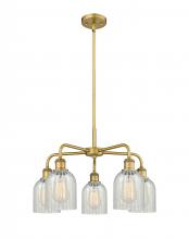  516-5CR-BB-G2511 - Caledonia - 5 Light - 23 inch - Brushed Brass - Chandelier