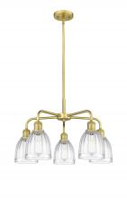  516-5CR-SG-G442 - Brookfield - 5 Light - 24 inch - Satin Gold - Chandelier