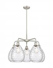  516-5CR-SN-G372 - Waverly - 5 Light - 26 inch - Satin Nickel - Chandelier