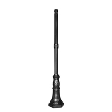  CP65F0 - 6.5-Foot Black Commercial Pole with 3-Inch Fitter