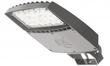  RSXF1 LED P4 40K MFL MVOLT YKC62 NLTAIR2 PIRHN D - RSXF Flood Size 1, LED, Package 4, 4000K