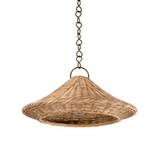  7422-BRL - Baychester Pendant