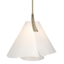 Hubbardton Forge 134501-SKT-MULT-84-SH1992 - Mobius Small Pendant