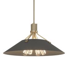 Hubbardton Forge 136340-SKT-MULT-84-20 - Henry Pendant