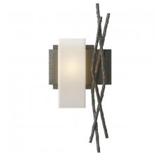  207670-SKT-LFT-20-GG0351 - Brindille Sconce