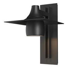  306567-SKT-80 - Hood Large Dark Sky Outdoor Sconce